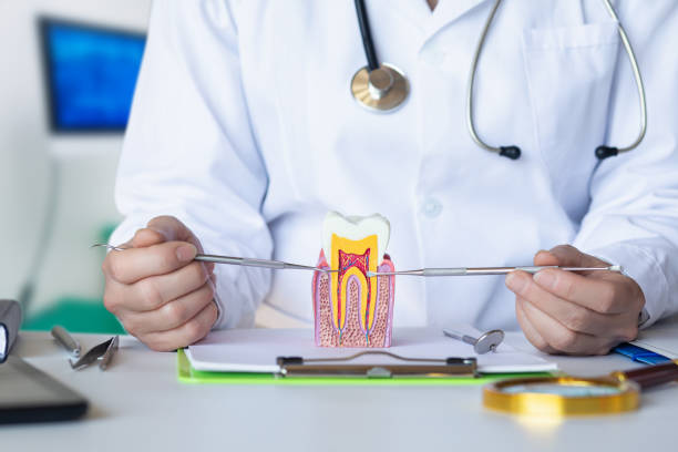 Best Knocked-Out Tooth (Avulsed Tooth) Treatment in Averill Park, NY